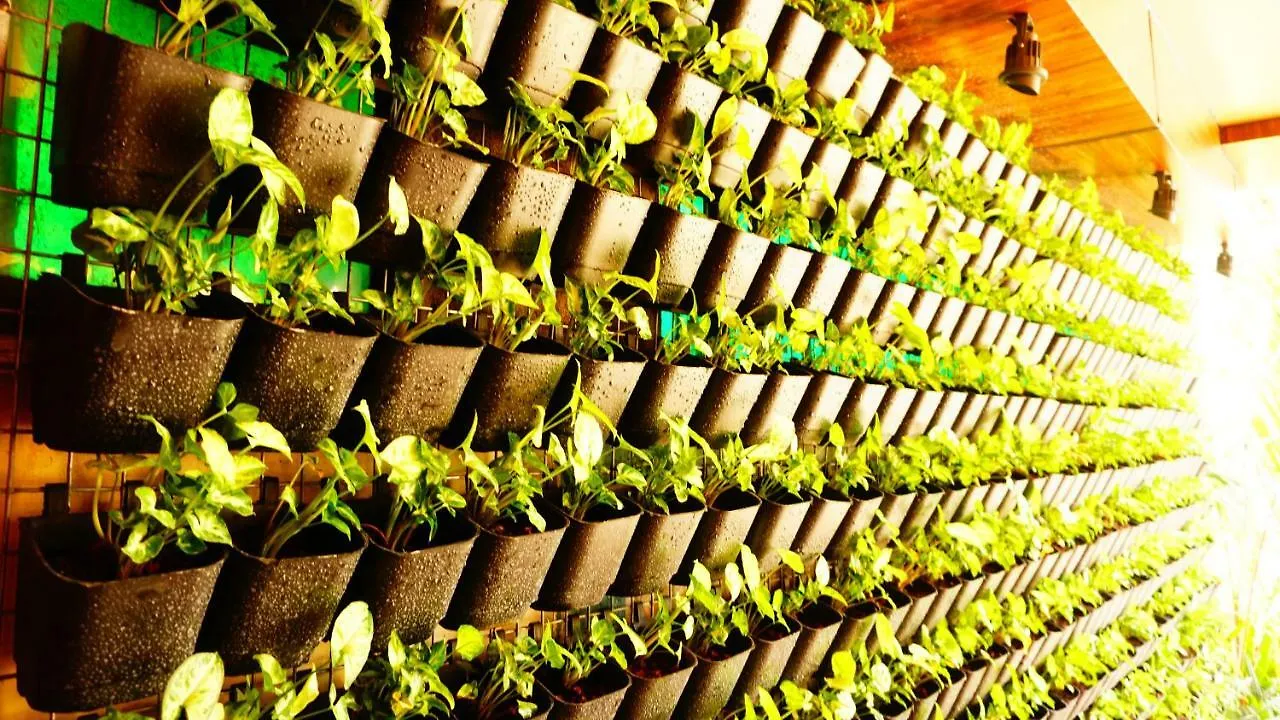 Thayamkery'S Royal Inn Kochi India